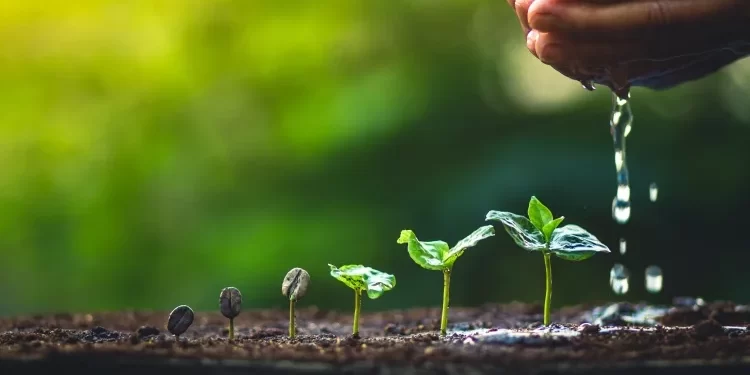 1633040223060288